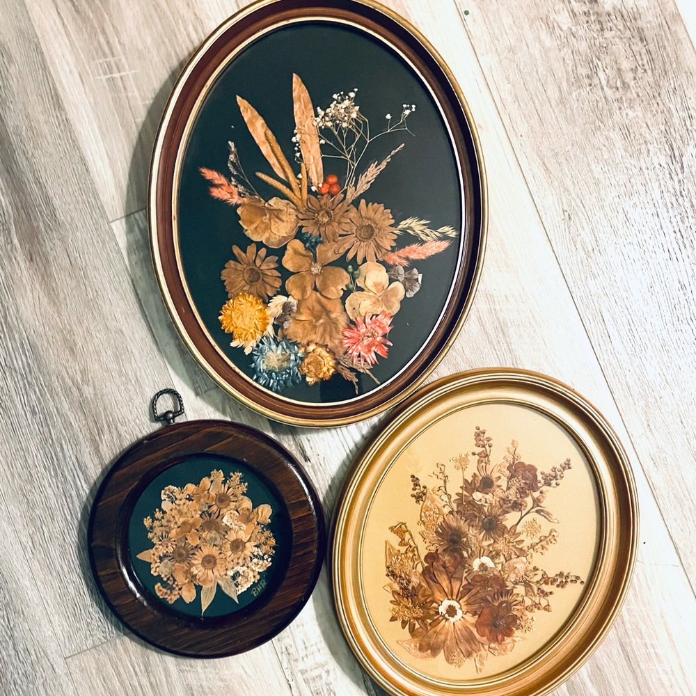 VINTAGE FRAMED 🌼 PRESSED 🌸 🌺 ART